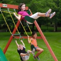 Limited Supply Five Star II Swing Set - Image 12