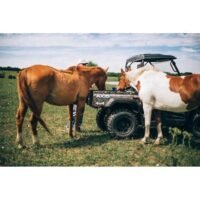 Axis 500 4×4 UTV Camo - Image 5